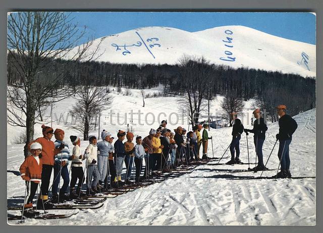 Collezionismo di cartoline postali